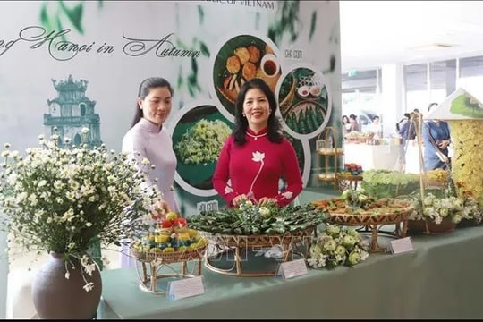 Vietnamese culture promoted in Laos