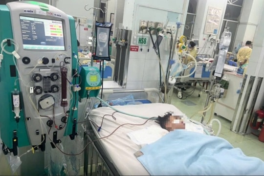 TP Hồ Chí Minh có ca tử vong do sốt xuất huyết