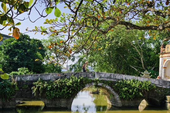 Khám phá làng cổ nghìn năm tuổi ở Nam Định