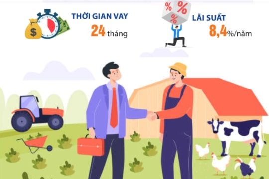 Thủ tục vay vốn từ Quỹ Hỗ trợ nông dân Hải Dương