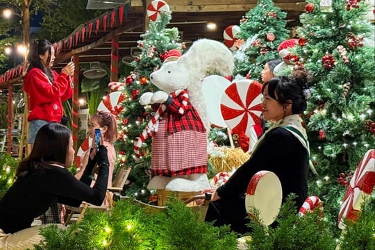 Không khí Noel đến sớm ở Hải Dương