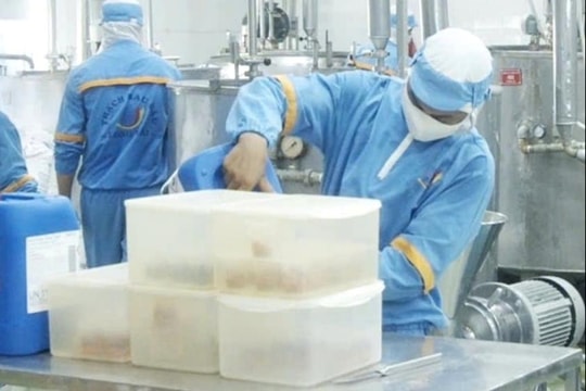 Công ty TNHH Long Hải lọt top doanh nghiệp tiêu biểu về nộp thuế