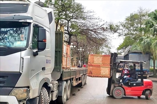 Công ty CP RedstarCera phấn đấu doanh thu đạt 640 tỷ đồng