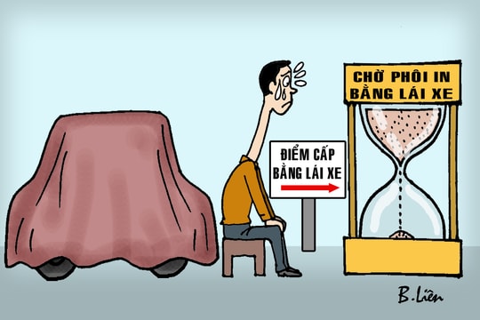 'Dài cổ' ngóng bằng lái xe