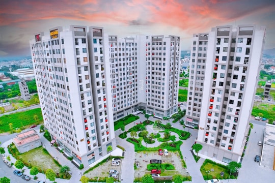 “Miếng bánh” nhà ở xã hội kém hấp dẫn nhà đầu tư?