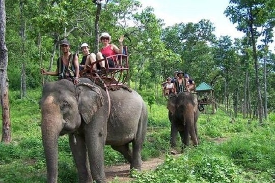 Những trải nghiệm không nên bỏ lỡ khi du lịch Đắk Lắk