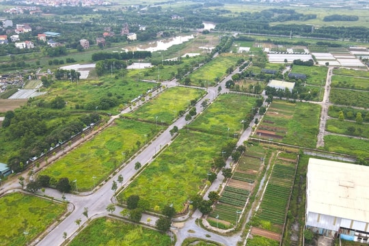 Kỷ lục đấu giá đất mới tại Hưng Yên