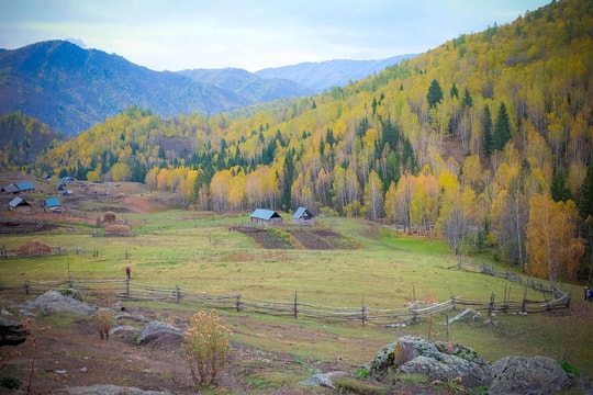 Vạn sắc thu vàng ở làng cổ Tân Cương, khách thích thú tận hưởng từng giây