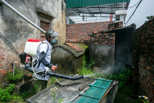 Số ca mắc sốt xuất huyết ở Hải Dương gần đây tăng