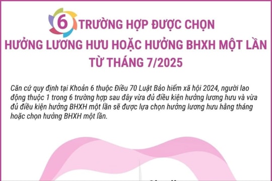 6 trường hợp được chọn hưởng lương hưu hoặc bảo hiểm xã hội một lần