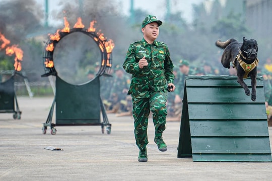 Điều đặc biệt đội quân khuyển tham gia trình diễn tại Triển lãm Quốc phòng quốc tế Việt Nam