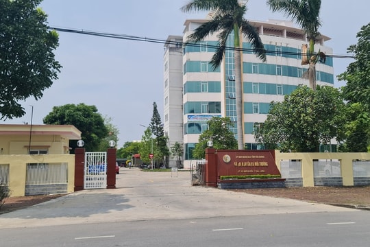 Giải thể Chi cục Bảo vệ môi trường tỉnh Hải Dương từ ngày 1/1/2025
