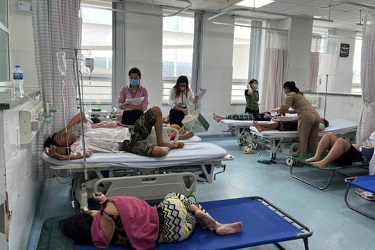 Các mẫu thực phẩm vụ nghi ngộ độc do ăn bánh mỳ ở Vũng Tàu đều nhiễm vi khuẩn salmonella