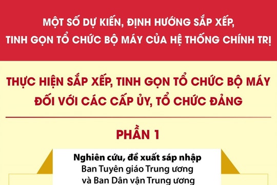Định hướng sắp xếp, tinh gọn cấp ủy, tổ chức đảng