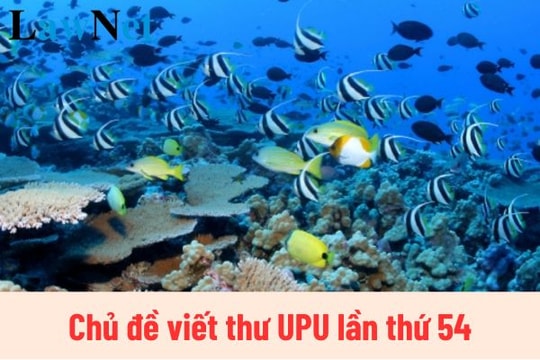 Phát động cuộc thi viết thư UPU lần thứ 54 với chủ đề bảo vệ đại dương