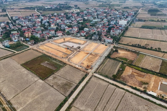 Kẽ hở nào khiến đấu giá đất liên tục bất ổn?