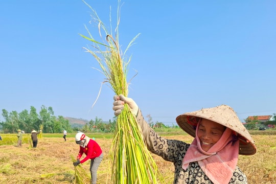 Kinh Môn phát huy giá trị 'hạt vàng'