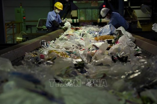 Phát hiện loài sâu châu Phi có khả năng 'ăn' rác thải nhựa