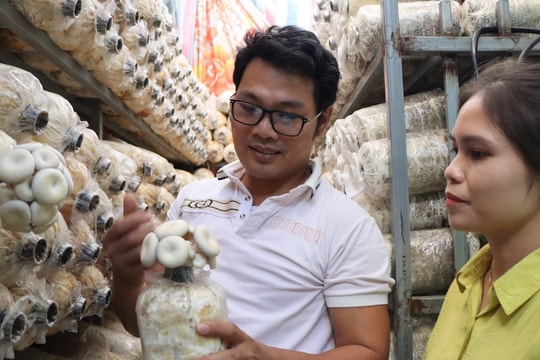 Anh Linh vượt khó, khởi nghiệp trồng nấm thành công