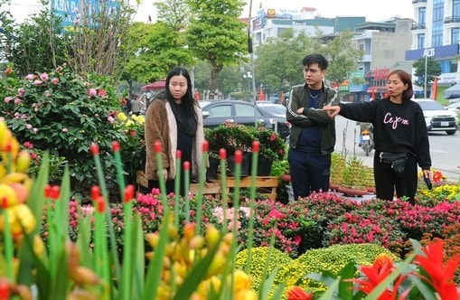 Chợ hoa chiều áp Tết