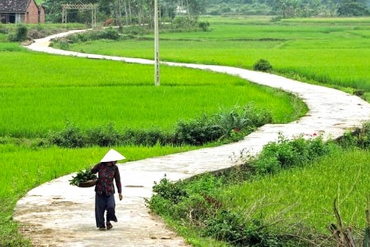 Chiều cuối năm