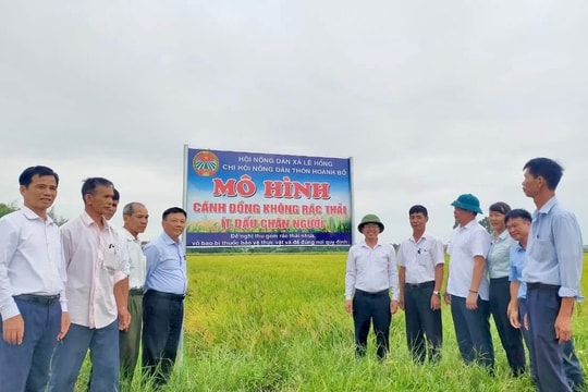 Thanh Miện có 25 mô hình 'cánh đồng không rác thải'