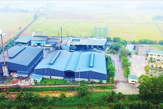 Xử phạt doanh nghiệp gây mùi khó chịu ở thị trấn Kẻ Sặt 400 triệu đồng