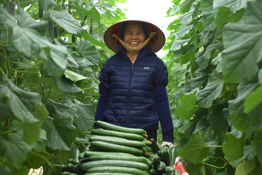 "Đòn bẩy" phát triển nhà màng