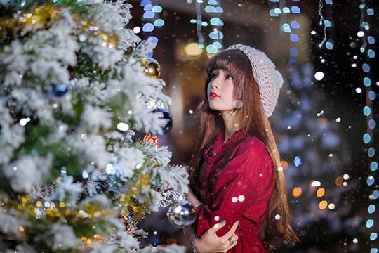 Tại sao Giáng sinh không thể thiếu cây thông?