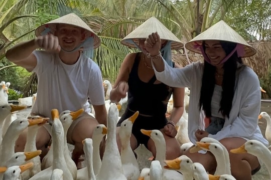 Chi 100.000 đồng để chăn vịt ở Quảng Bình: Dân mạng chê đắt, khách Tây nói gì?