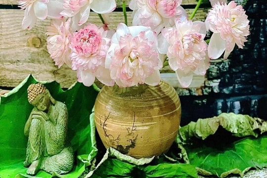 Sen - biểu tượng tâm linh ở xứ Đông