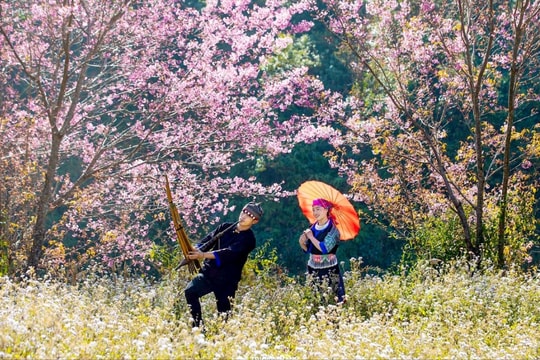 Mở lòng đón xuân