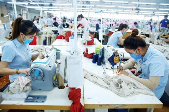 Công bố thưởng Tết 2025, có doanh nghiệp thưởng 519 triệu đồng một người