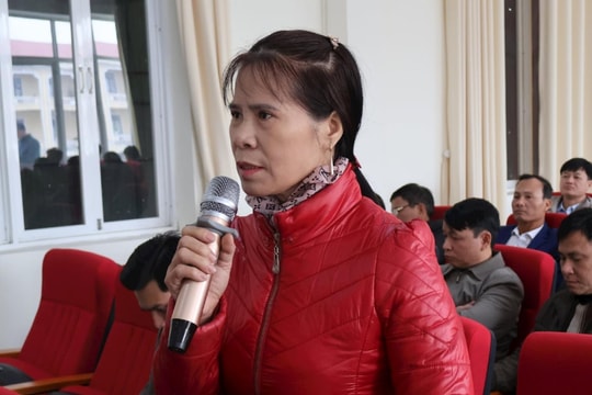 Nông dân Kim Thành kiến nghị sớm hỗ trợ thiệt hại do bão số 3 gây ra