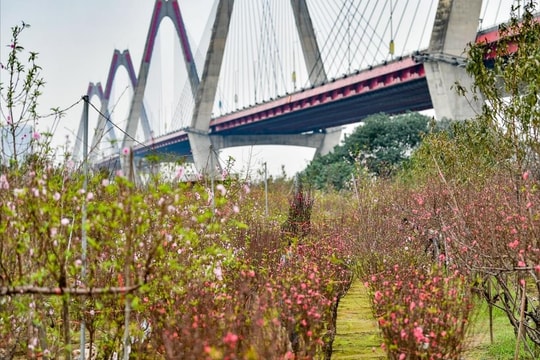 Chỉ thị của Ban Bí thư về việc tổ chức Tết Ất Tỵ năm 2025