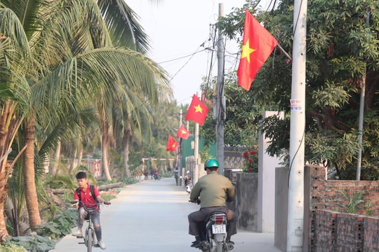 Bức tranh nông thôn mới Hồng Lạc (Thanh Hà)