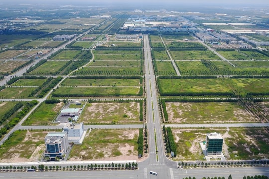 Bộ Tài chính tiếp tục đề xuất miễn thuế sử dụng đất nông nghiệp
