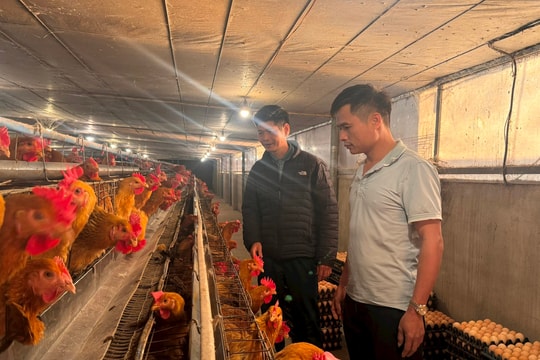 Gia Lộc có nhiều tỷ phú, triệu phú nông dân
