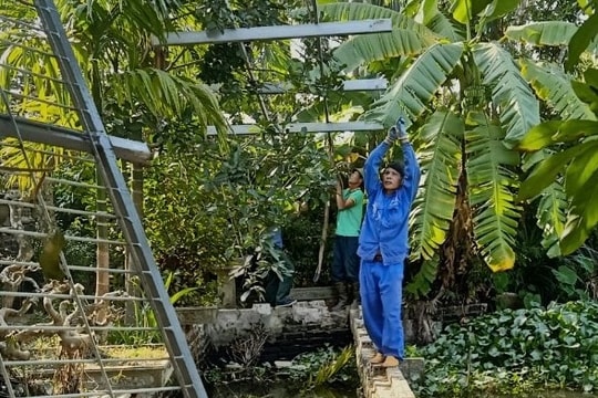 Kim Thành xử lý vi phạm công trình thủy lợi đạt gần 99%