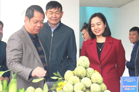 Chí Linh có thêm 5 sản phẩm OCOP
