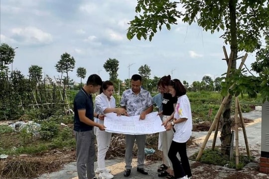 Nhân lực môi giới bất động sản đông nhưng chưa tinh