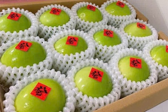 Gần triệu đồng một kg táo sữa Đài Loan