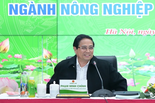 Kim ngạch xuất khẩu nông lâm thuỷ sản và thặng dư thương mại tăng cao kỷ lục
