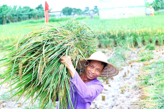 Tứ Kỳ biến tiềm năng nông nghiệp hữu cơ và du lịch sinh thái thành hiện thực