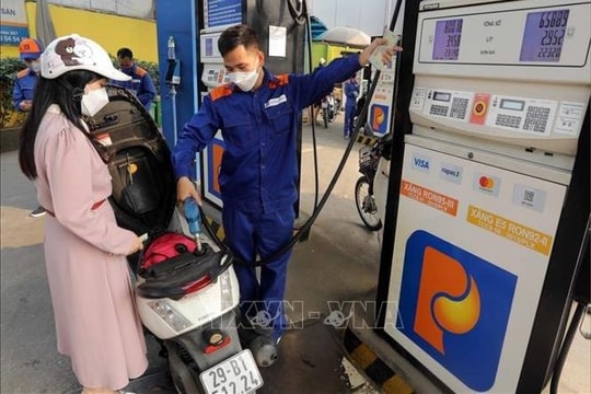 Nghị quyết về mức thuế bảo vệ môi trường đối với xăng, dầu, mỡ nhờn