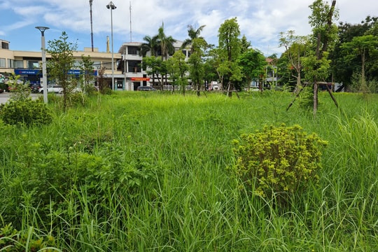 Công viên bỏ hoang