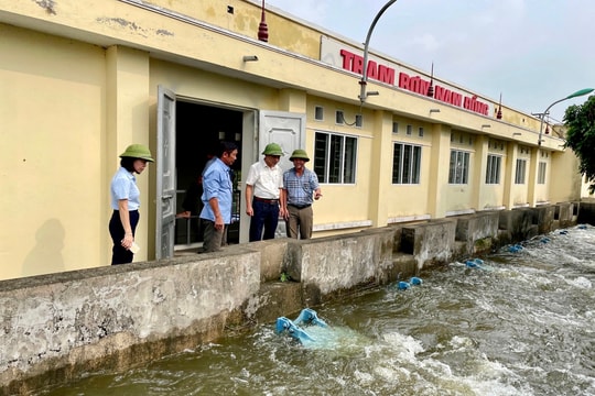 Công ty TNHH một thành viên Khai thác công trình thuỷ lợi Hải Dương tích cực xử lý vi phạm công trình thuỷ lợi