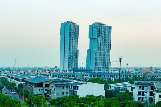 Xuân mới vươn mình