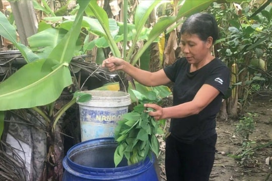 Hải Dương tăng cường công tác quản lý chất thải sinh hoạt
