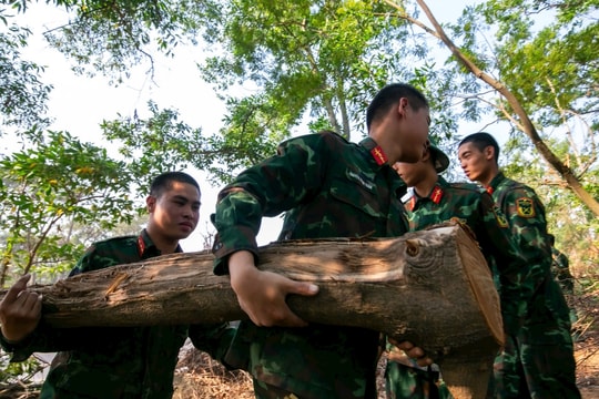 Hải Dương huy động hàng nghìn người ra quân dọn rừng, phòng cháy
